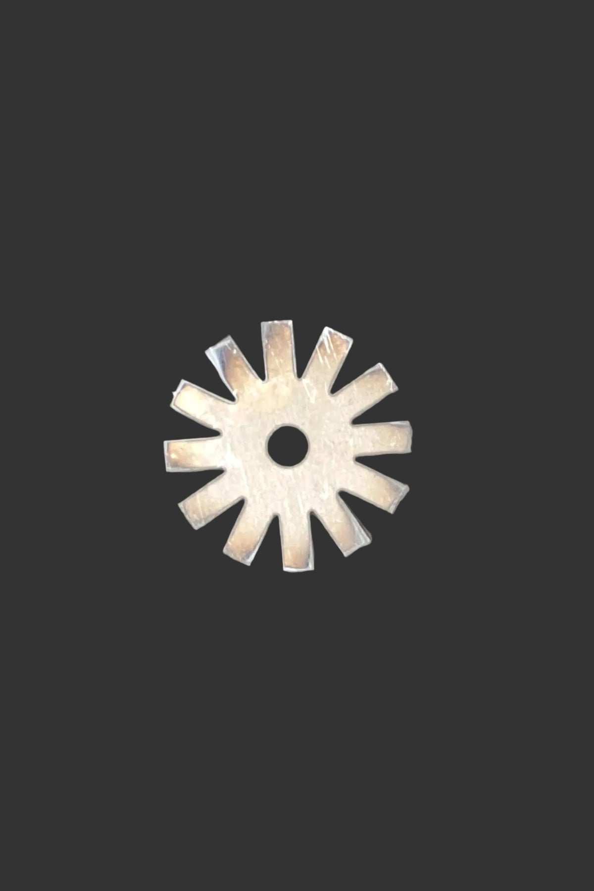 12 Point Rowel